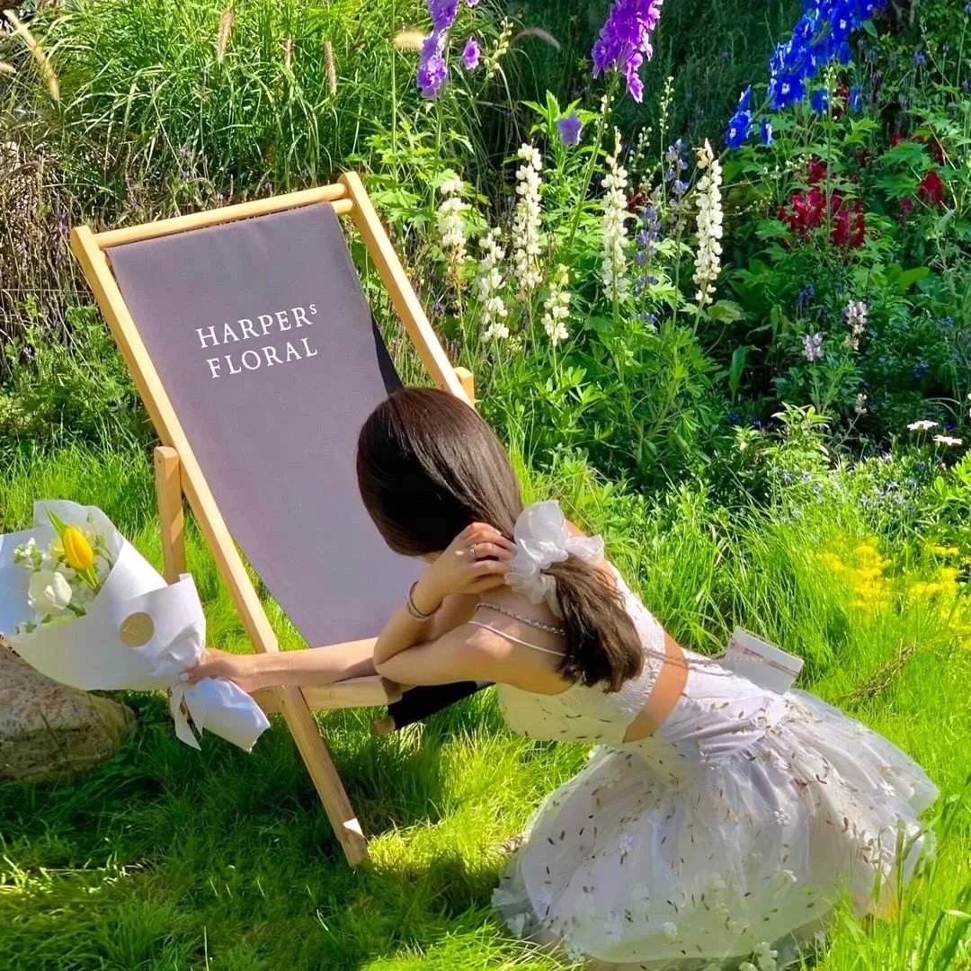 我是星际万人迷